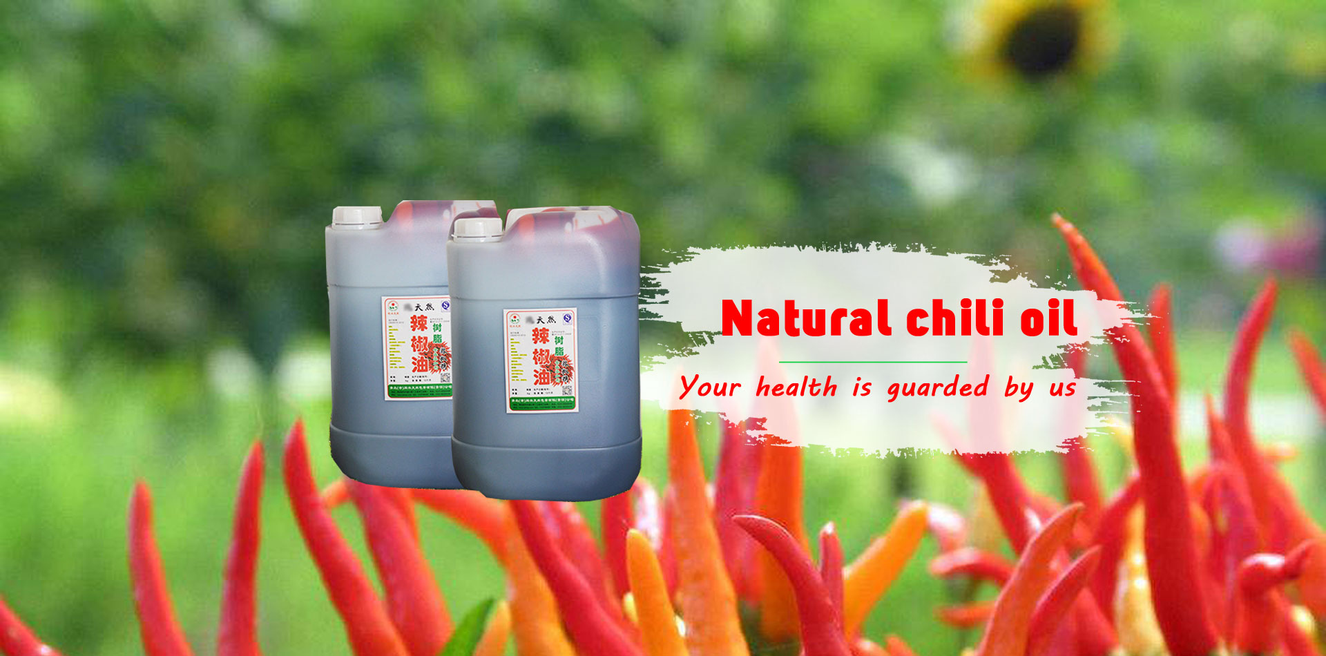 國內首位EV行業(yè)